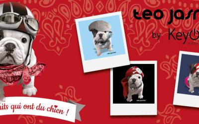 Nouvelle licence : Téo Jasmin by KeyOuest !